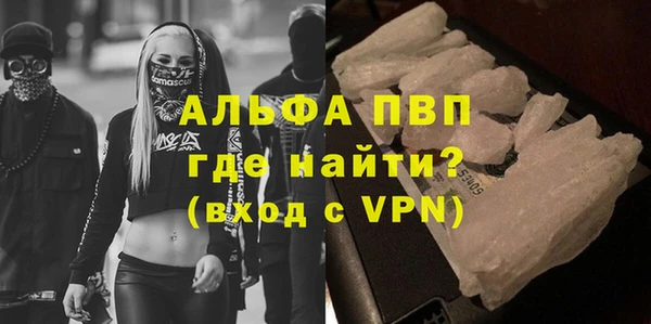 гидра Абаза