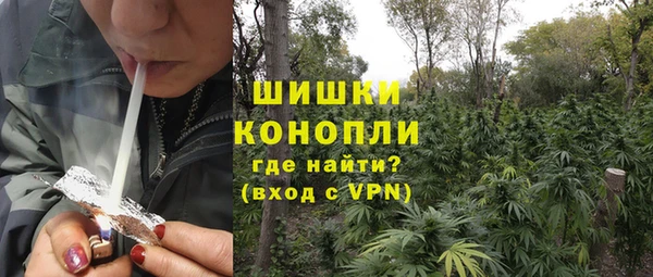 гидра Абаза