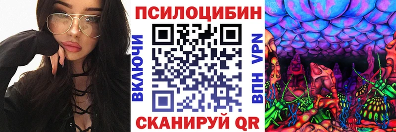 Галлюциногенные грибы мицелий  OMG как зайти  Дубна 
